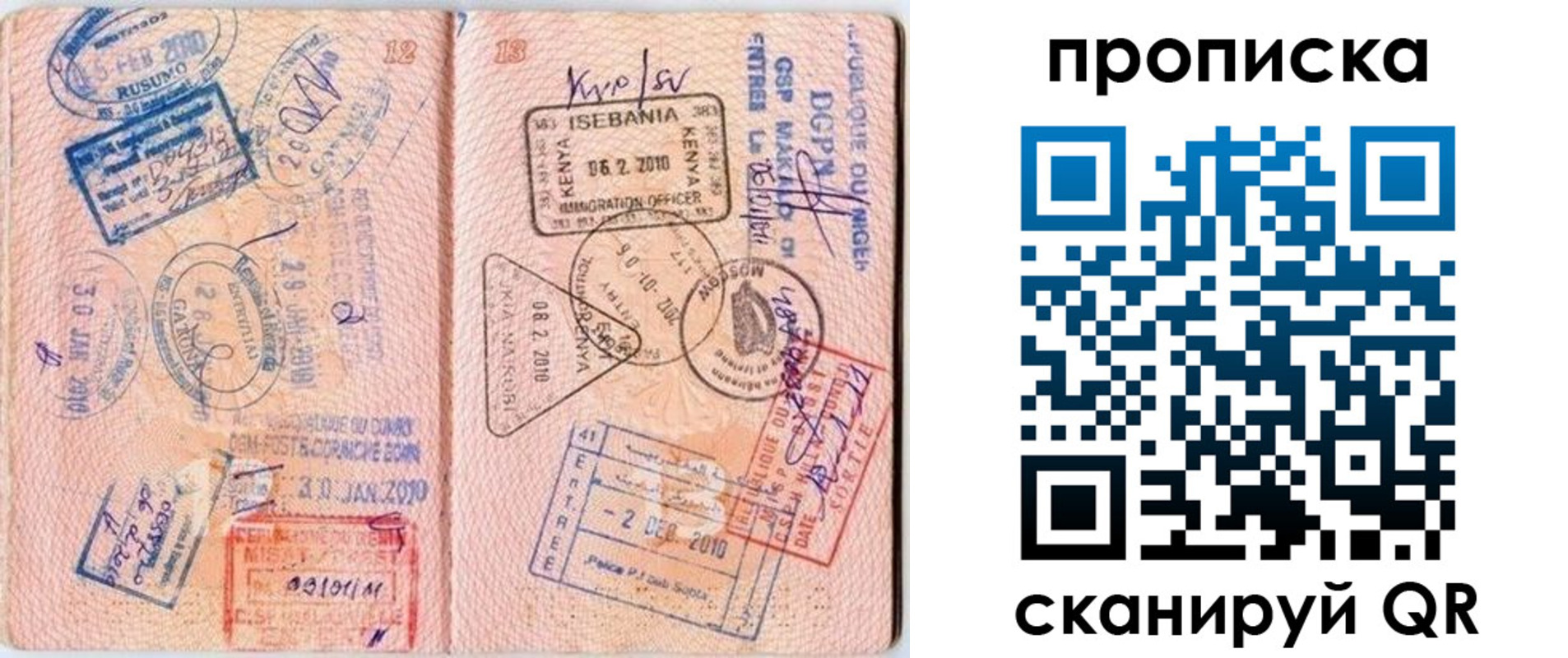 прописка для школы в Новосибирской области